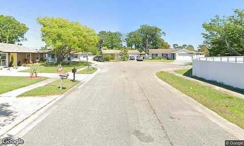 Coot, ORLANDO, FL 32822
