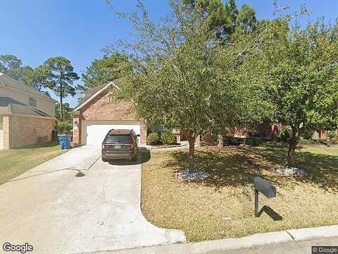 Silver Lure, HUMBLE, TX 77346