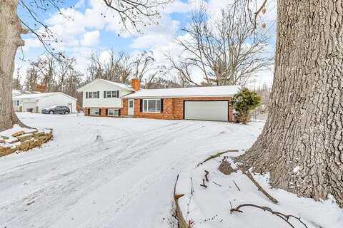 Robinson, JACKSON, MI 49203