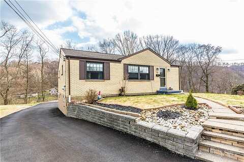 Carol, CARNEGIE, PA 15106