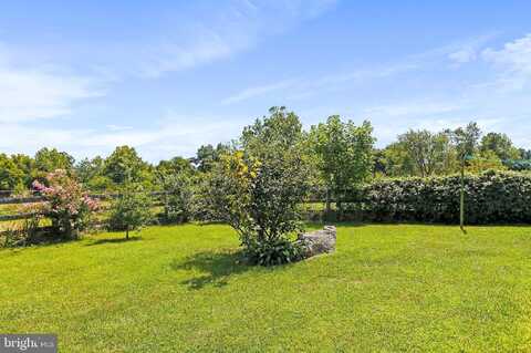 Sir Johns, CLEAR BROOK, VA 22624