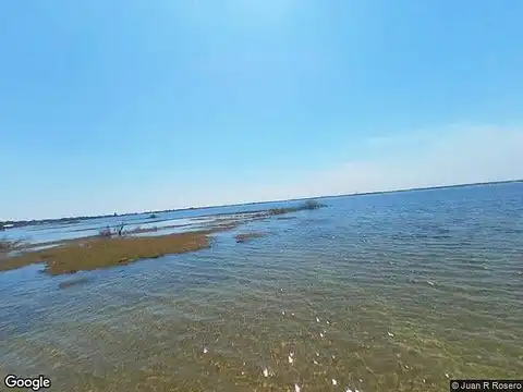 Hornet, LAKE PLACID, FL 33852