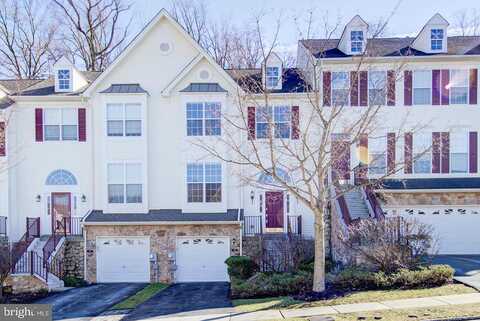 Fringetree, WEST CHESTER, PA 19380