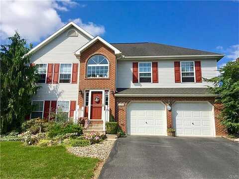 Scotty, EASTON, PA 18045