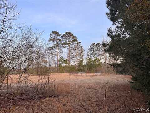 County Road 15, Wedowee, AL 36278