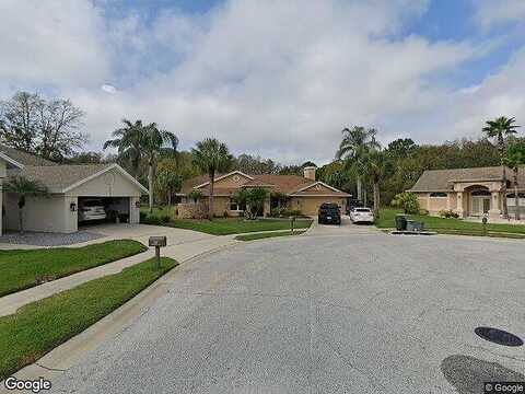 Evesborough, NEW PORT RICHEY, FL 34655