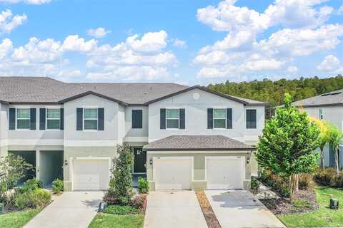 Great Sapphire, LUTZ, FL 33558