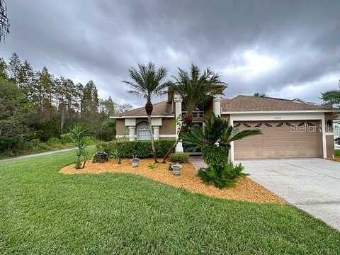 Seacove, LUTZ, FL 33558