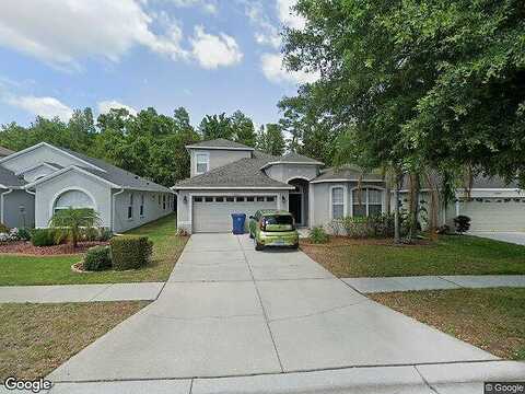 Pond Rush, LAND O LAKES, FL 34638