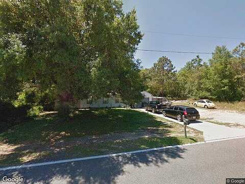 Bahia, OCALA, FL 34472