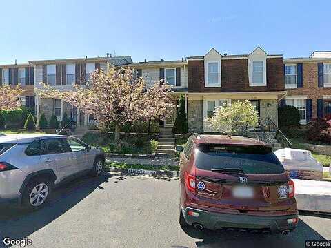 Hyacinth, ALEXANDRIA, VA 22310
