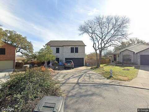 Crossbill, SAN ANTONIO, TX 78251
