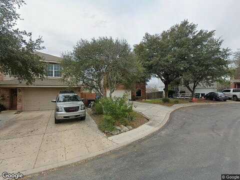 Tiger, SAN ANTONIO, TX 78251