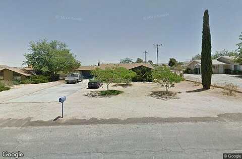 Aster, YUCCA VALLEY, CA 92284