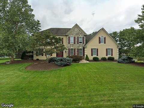 Forsythia, ALLENTOWN, PA 18104