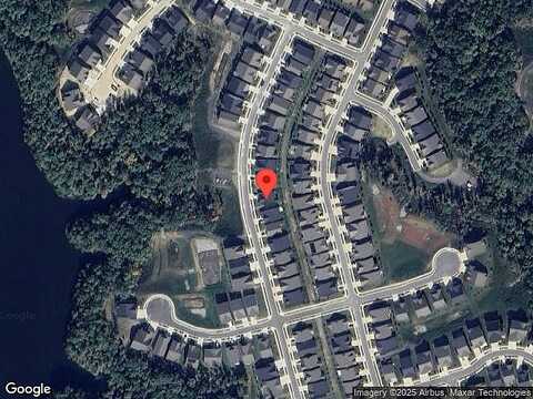 Cowbird, LAKE FREDERICK, VA 22630