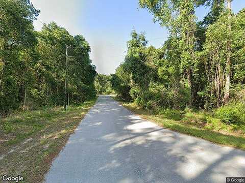 Locust Drive Ct, Ocklawaha, FL 32179