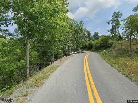 Ellison Ridge Rd, Jumping Branch, WV 25969