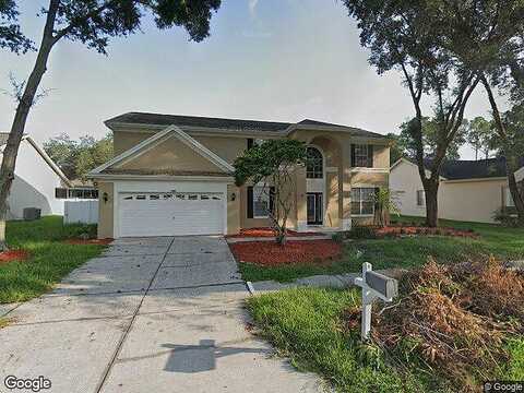 Norchester, TAMPA, FL 33647