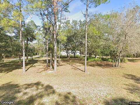 Butch Cassidy, WIMAUMA, FL 33598