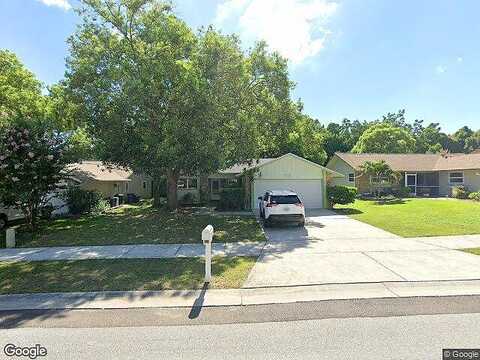 Squire, DUNEDIN, FL 34698
