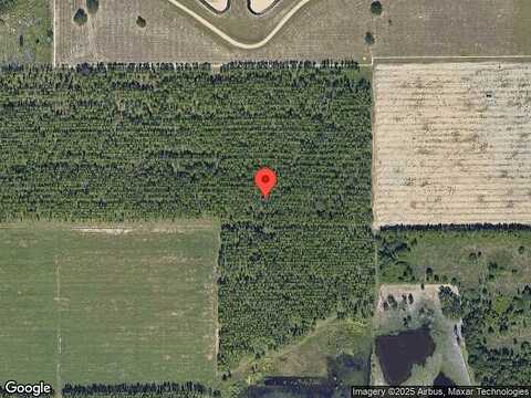 Citrus Leaf, WINTER GARDEN, FL 34787