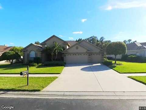Winged Elm, WESLEY CHAPEL, FL 33544