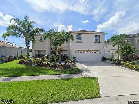 Calla Lily, KISSIMMEE, FL 34758