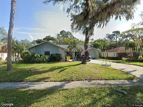 Indian, PALM HARBOR, FL 34683