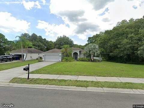 Bellamy, TAMPA, FL 33625