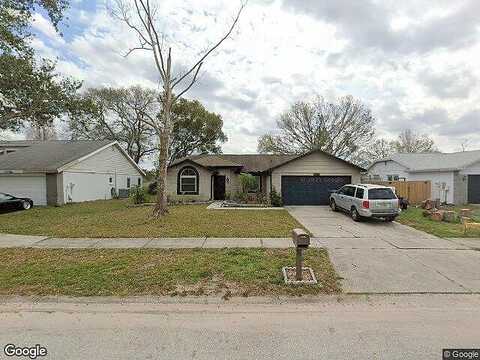 Vermillion, RIVERVIEW, FL 33569