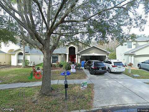 Lucaya, TAMPA, FL 33647