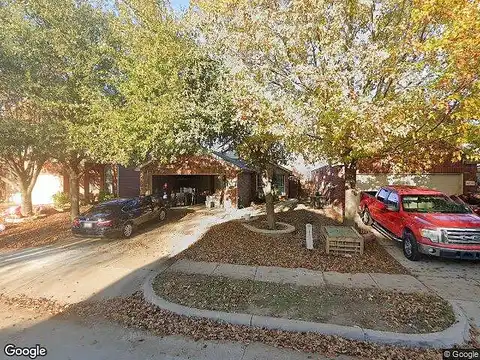 Mountain Lion, FORT WORTH, TX 76244