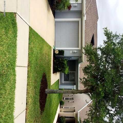 Areca Palm, PORT ORANGE, FL 32128