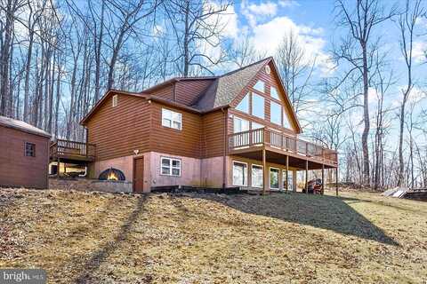 Tulip Poplar, LINDEN, VA 22642