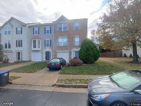 Chokeberry, ASHBURN, VA 20147