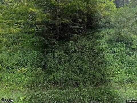 Woods Fork, GRUNDY, VA 24614