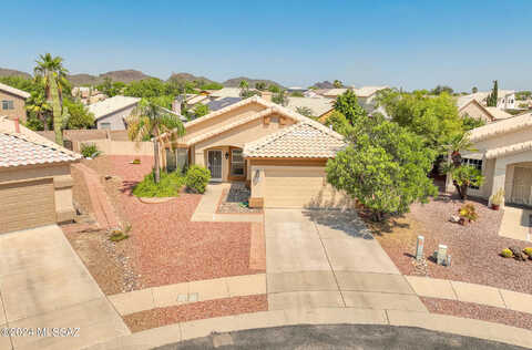 Safflower, TUCSON, AZ 85743