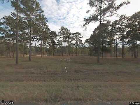 Bird Dog, TALLAHASSEE, FL 32309