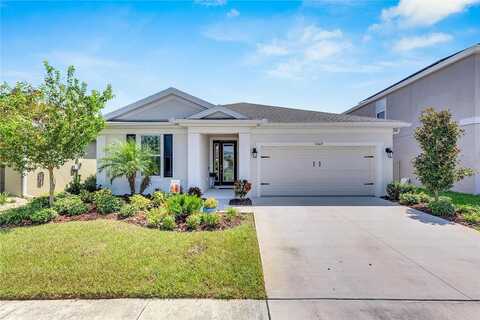 Limelight, APOLLO BEACH, FL 33572