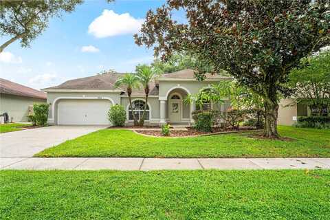 Folklore, VALRICO, FL 33596
