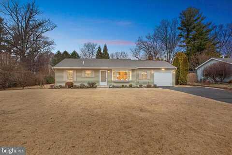 Maple, DOYLESTOWN, PA 18901