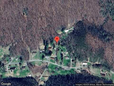 Conifer, MARION, VA 24354