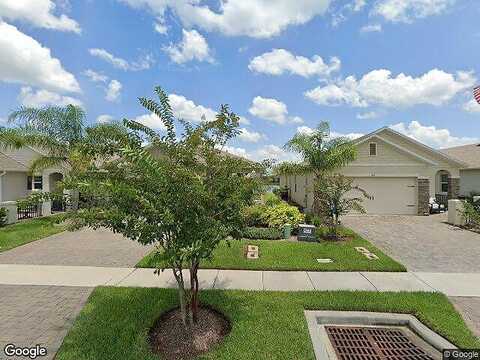 Caryota, NEW SMYRNA BEACH, FL 32168
