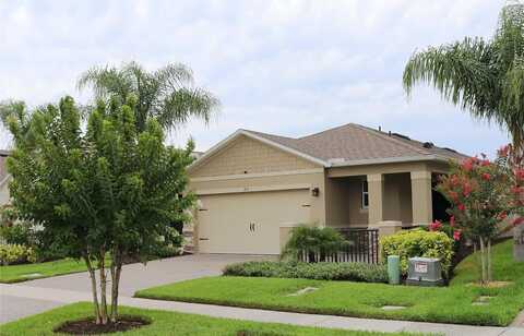 Caryota, NEW SMYRNA BEACH, FL 32168