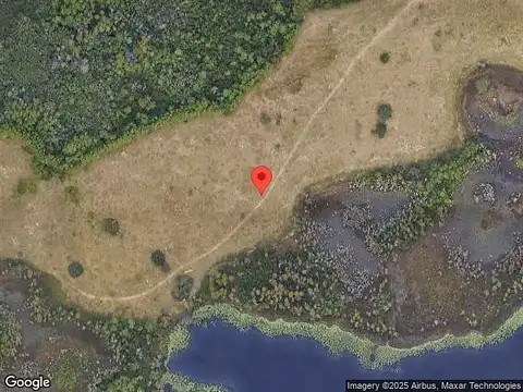 Saw Palmetto, CLERMONT, FL 34714