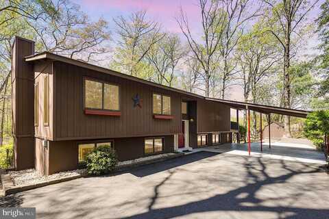 Pratt, WOODBRIDGE, VA 22191