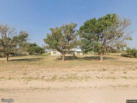 Lovebird, SMYER, TX 79367