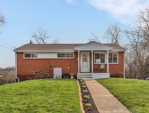 Blueberry, MONROEVILLE, PA 15146