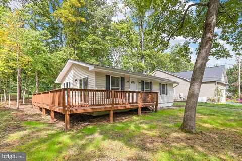 Birdie, LOCUST GROVE, VA 22508